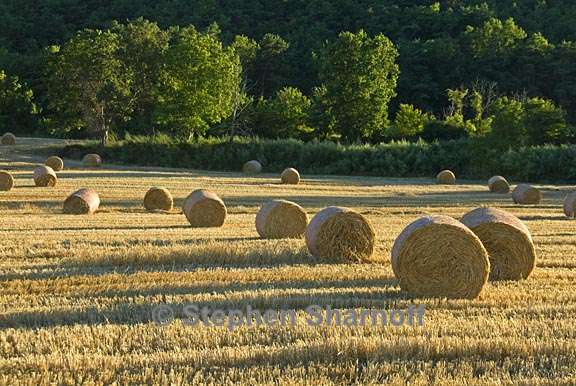 haybales 1 graphic